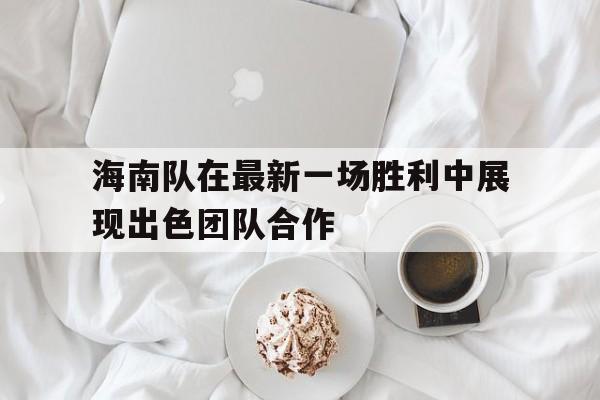 海南队主力